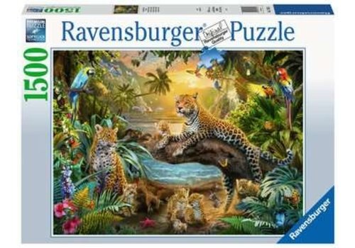  Ravensburger Léopards dans la jungle - 1500 pièces 