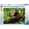 Ravensburger Adorable red panda - jigsaw puzzle of 500 pieces
