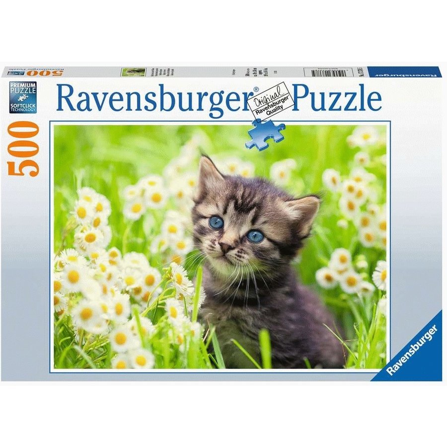 Kitten in the meadow  - jigsaw puzzle of 500 pieces-2