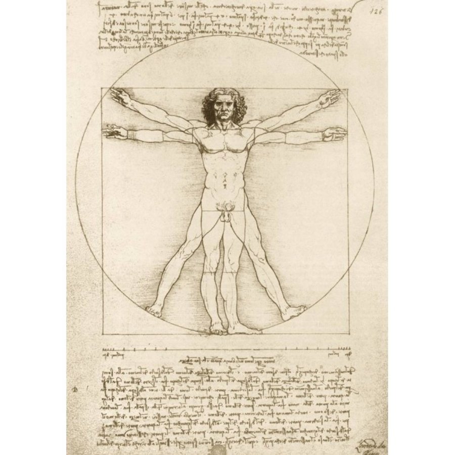 Leonardo Da Vinci - The Vitruvian Man, 1490 - 1000 pieces-2