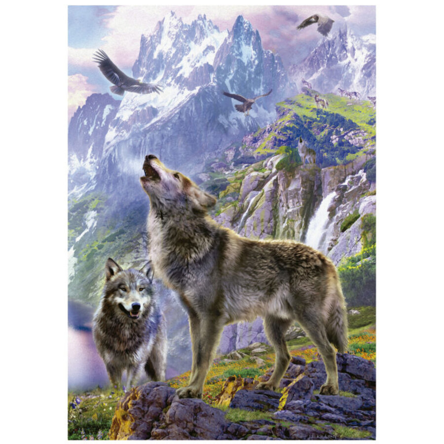 Wolves on the rocks - jigsaw puzzle of 500 pieces-2