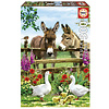 Educa Donkeys at the fence - jigsaw puzzle of 500 pieces