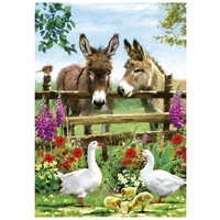 thumb-Donkeys at the fence - jigsaw puzzle of 500 pieces-2