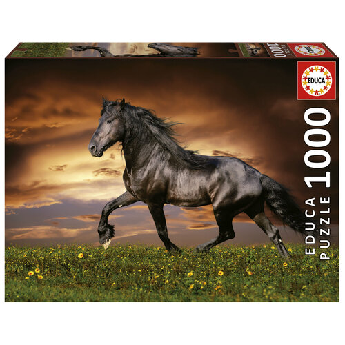  Educa Horse at Trot - 1000 pieces 