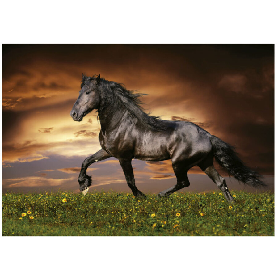 Horse at Trot - puzzle of 1000 pieces-2