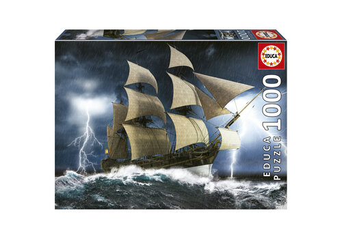  Educa Perfecte Storm - 1000 stukjes 