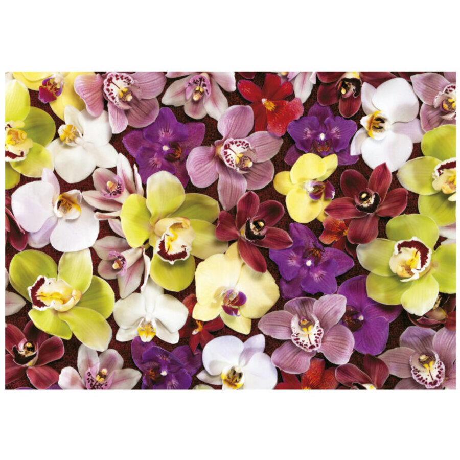 Orchid Collage - puzzle of 1000 pieces-2