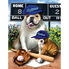 SUNSOUT Play Ball - jigsaw puzzle of 300 XXL pieces