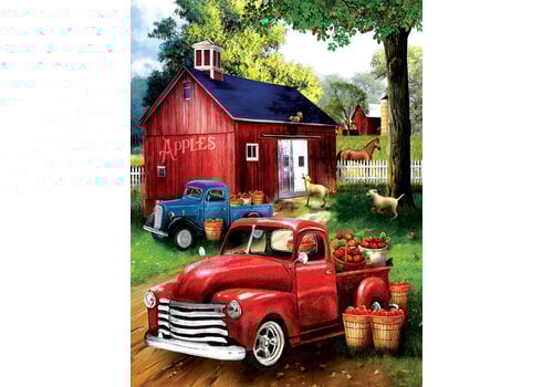  SUNSOUT Apples for Sale - 300 XXL pieces 