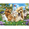 SUNSOUT Pups n Kittens - legpuzzel van 300 XXL stukjes