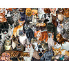 SUNSOUT Cat Collage - jigsaw puzzle of 300 XXL pieces
