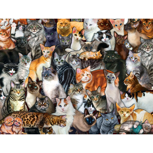  SUNSOUT Cat Collage - 300 XXL pieces 