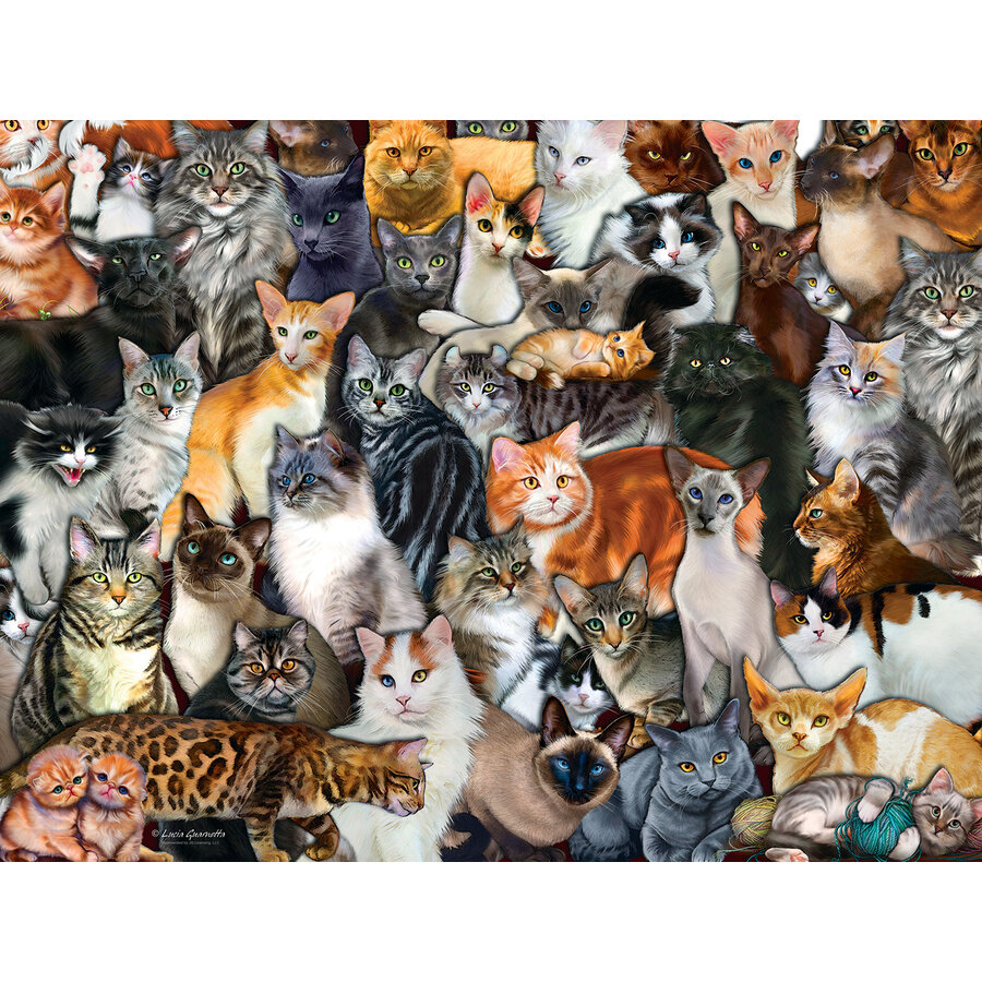 Cat Collage - jigsaw puzzle of 300 XXL pieces-1