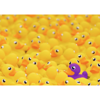 thumb-Canards en caoutchouc - Challenge - puzzle de 1000 pièces-2