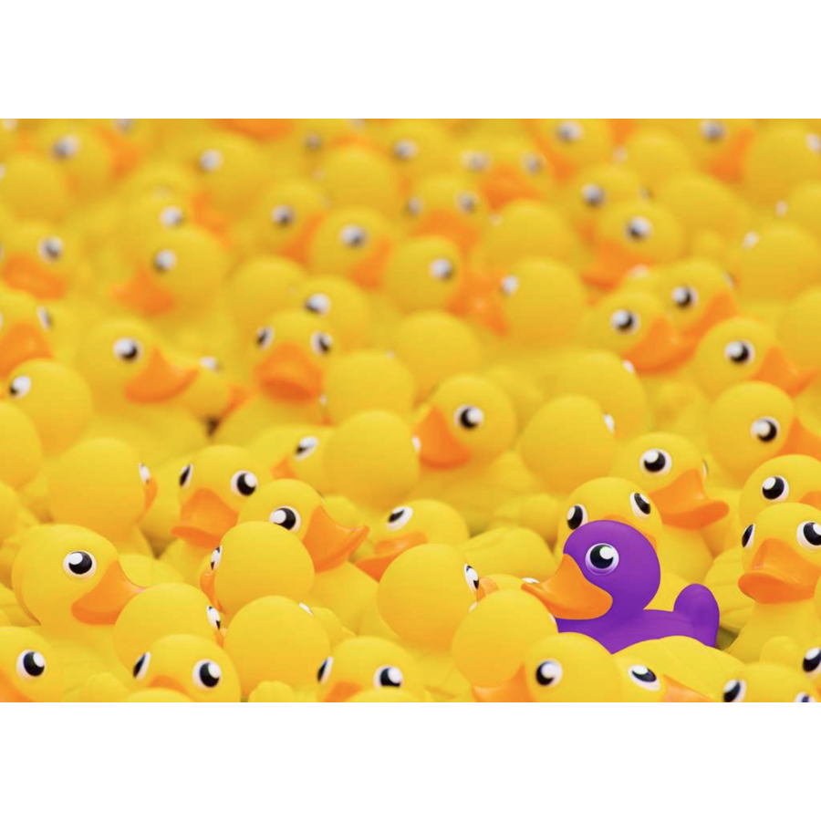 Rubber ducks - Challenge - puzzle of 1000 pieces-2