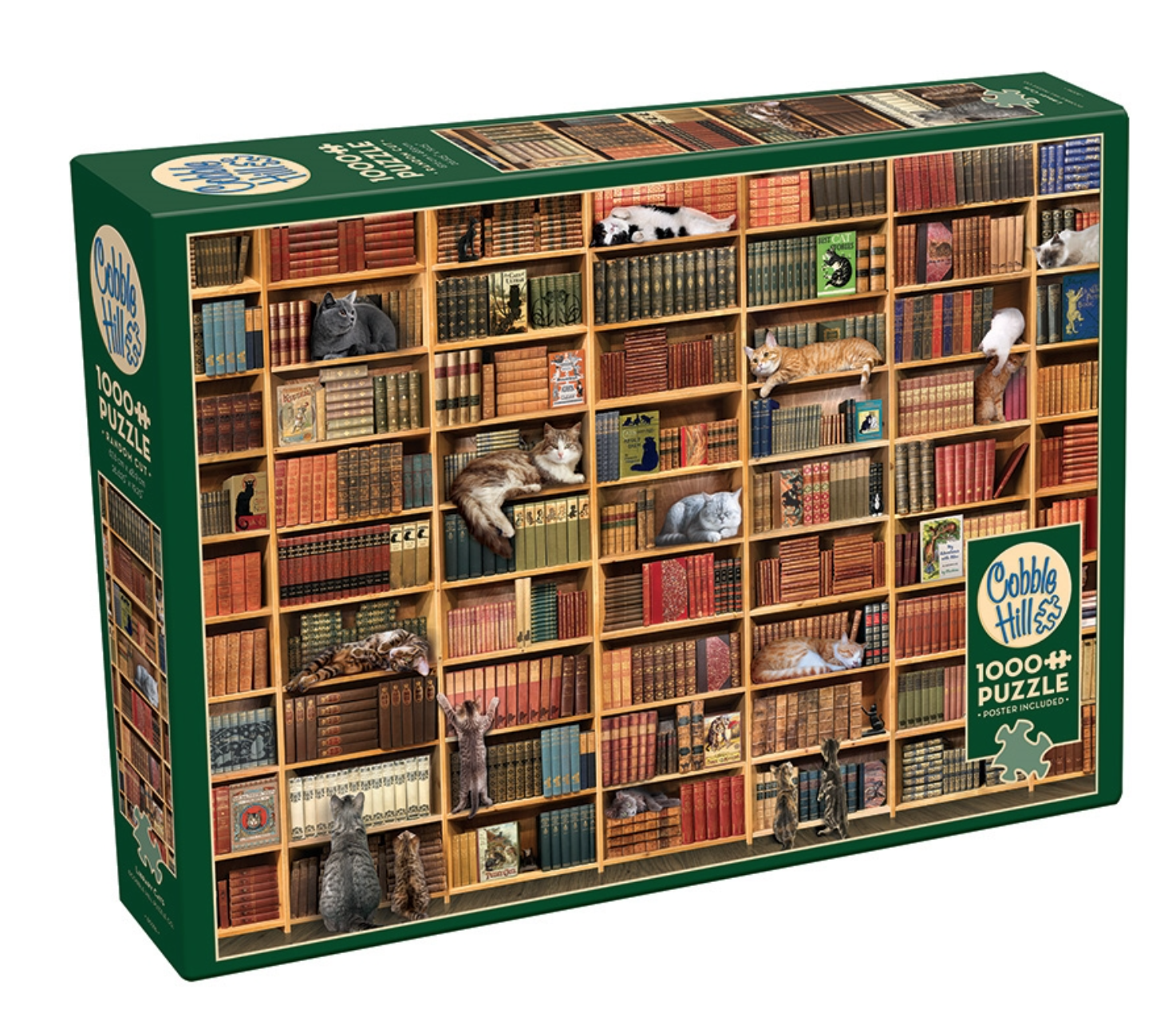 Puzzle 1000 pcs - Bibliothèque