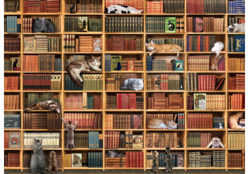  Cobble Hill De kattenbibliotheek - 1000 stukjes 