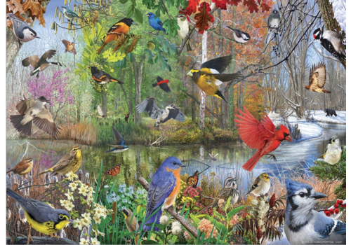  Cobble Hill Birds of the Season  - 1000 pieces 
