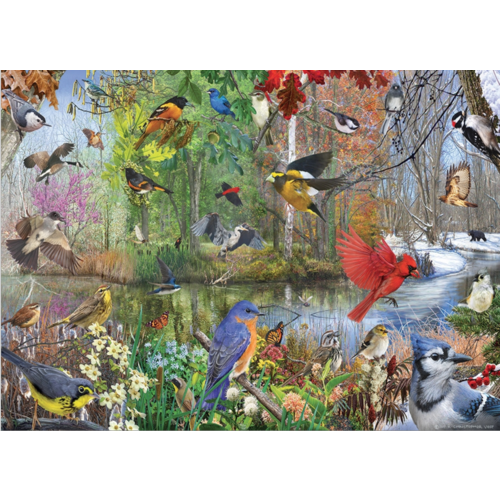  Cobble Hill Birds of the Season  - 1000 pieces 