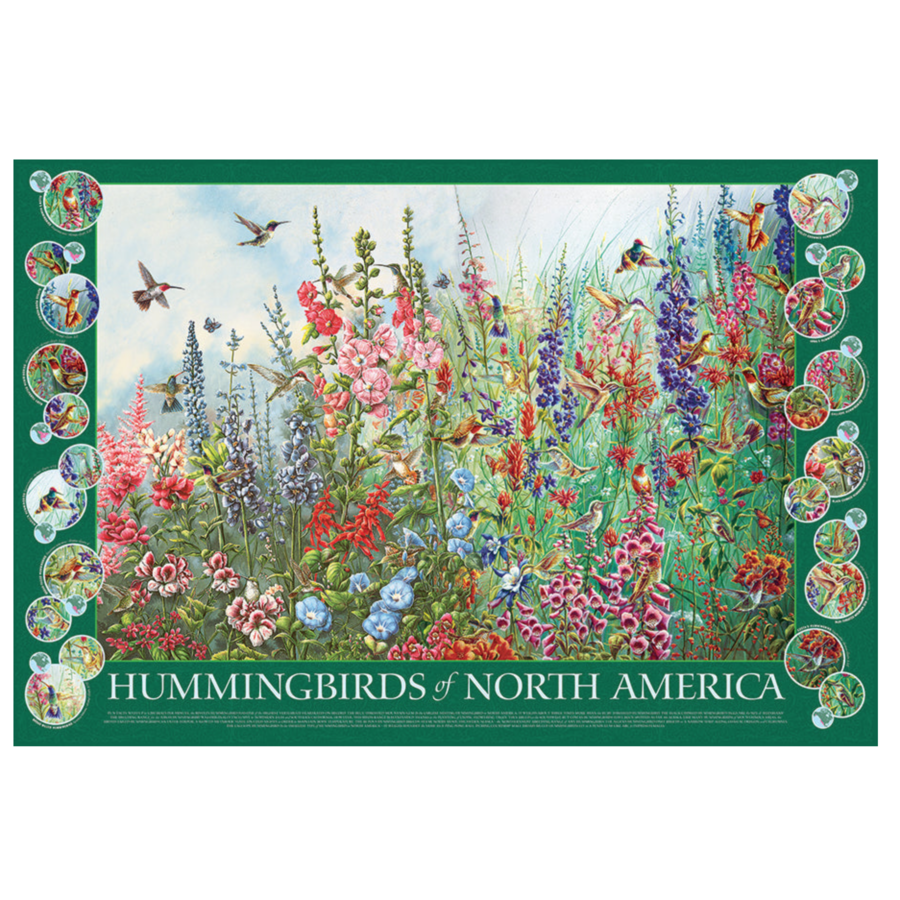 Hummingbirds of North America - puzzle of 2000 pieces-2