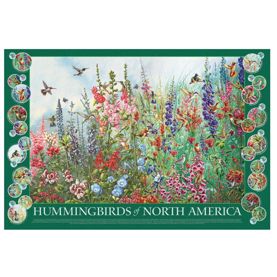 Kolibries in Noord-Amerika  - puzzel van 2000 stukjes-2