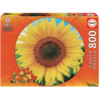Educa Sunflower - Circular jigsaw puzzle - 800 pieces