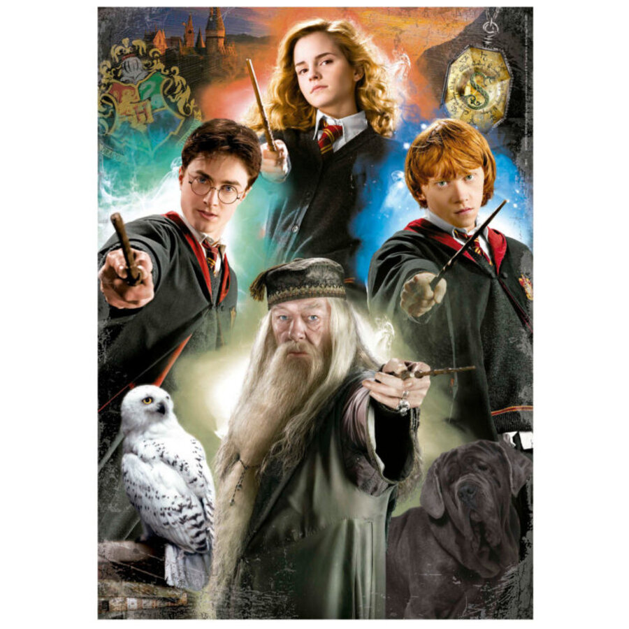 Harry Potter - legpuzzel van 500 stukjes-2