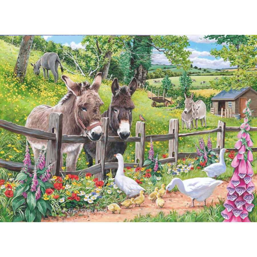 Jack & Jenny - 250 XL pieces-2