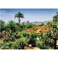 thumb-Jardins botaniques - Madère - puzzle de 1000 pièces-2