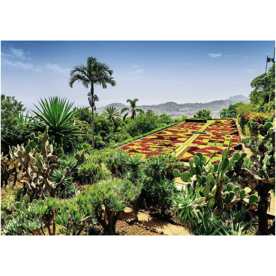 Jardins botaniques - Madère - puzzle de 1000 pièces-2