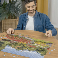thumb-Park of Villa Pallavicino - Stresa in Italy - puzzle of 1000 pieces-4