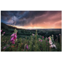 thumb-Dreamy Thunder - puzzle of 1000 pieces-1