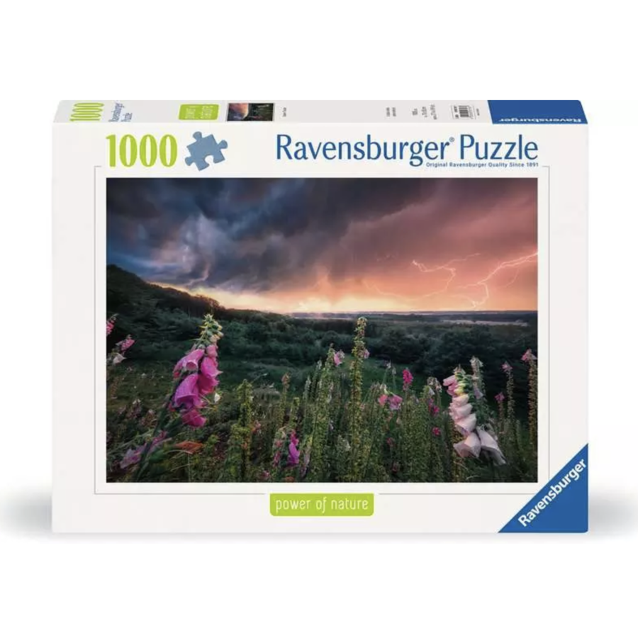 Dreamy Thunder - puzzle of 1000 pieces-2