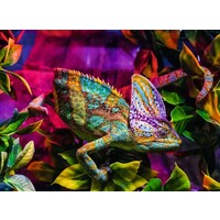 thumb-Caméléon - Colorfull Animals - puzzle de 500 pièces-2