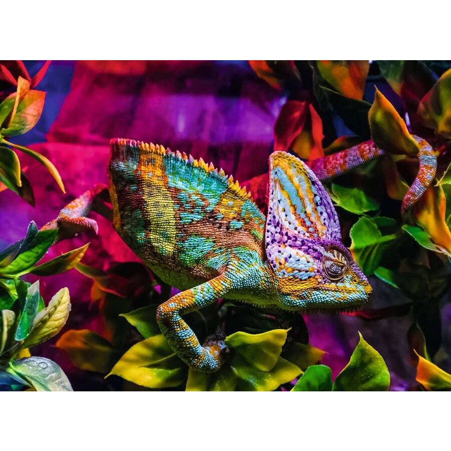 Kameleon - Kleurrijke Dieren - puzzel van 500 stukjes-2