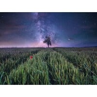 thumb-Night sky over the cornfield - puzzle of 1500 pieces-2