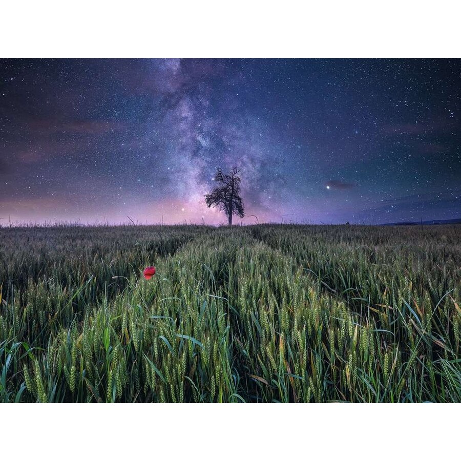 Night sky over the cornfield - puzzle of 1500 pieces-2