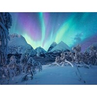 thumb-The Arctic Show - puzzle of 1500 pieces-2