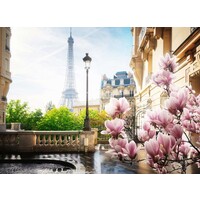 thumb-Spring in Paris - jigsaw puzzle of 500 pieces-2