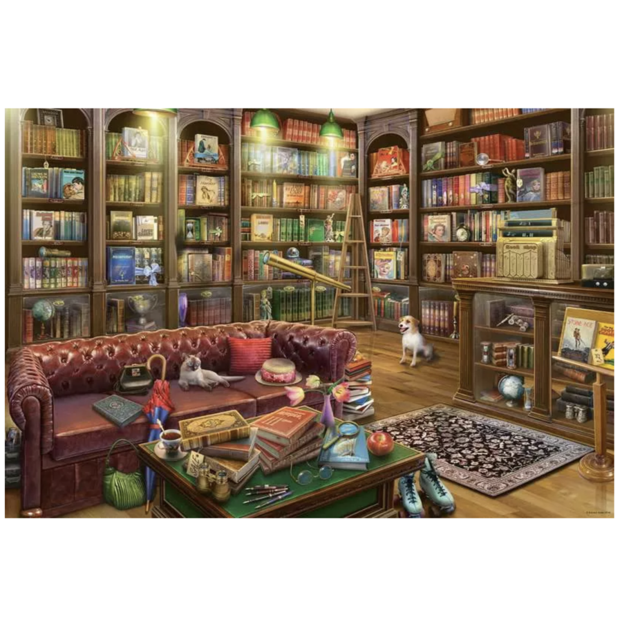 La salle de lecture - The Reading Room - puzzle de 1000 pièces-2