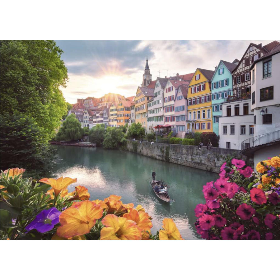 Uitstapje naar Tübingen - Duitsland - puzzel van 1000 stukjes-2