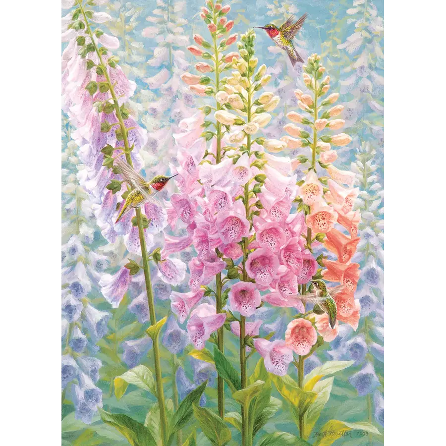 Summer Rainbow - puzzel van 500 XL stukjes-4