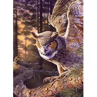 thumb-Evening Hunter - puzzle de 1000 pièces-4