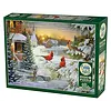 Cobble Hill Sunset Cardinals - puzzle de 1000 pièces