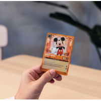 thumb-Steel- Lorcana Serie - 1000 stukjes-5