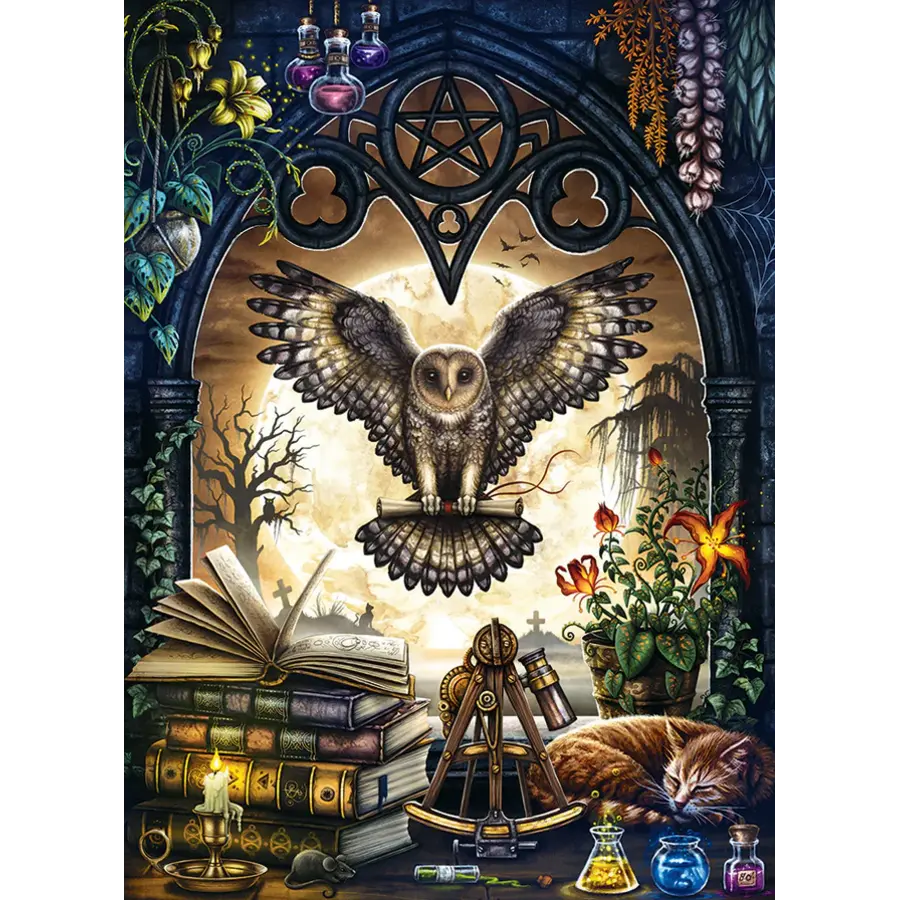 The Summons - puzzel van 1000 stukjes-2