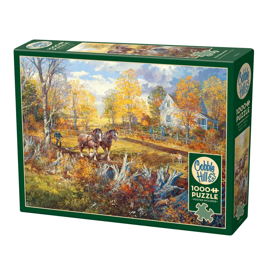 New Beginning- puzzle of 1000 pieces-1
