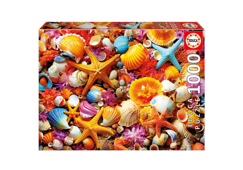  Educa Shell Collage - 1000 pieces 
