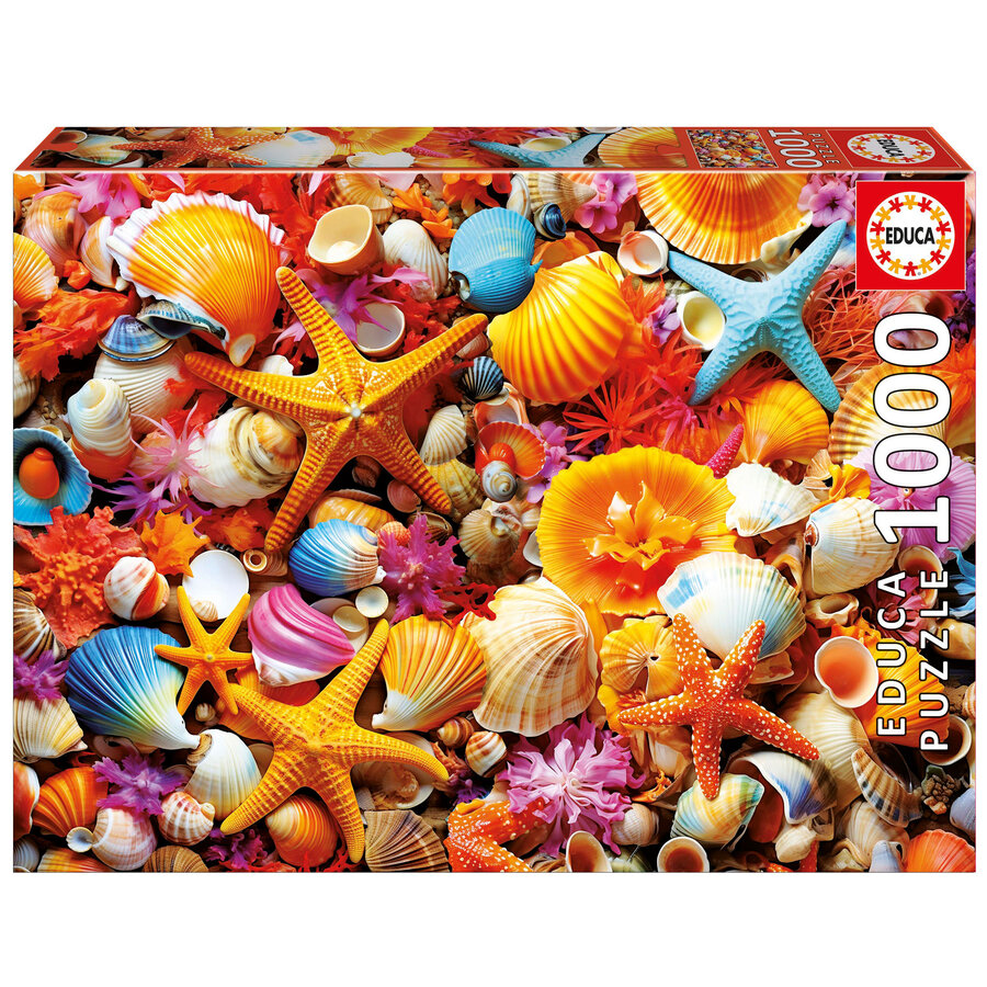 Shell Collage - puzzle of 1000 pieces-1