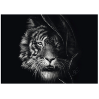 thumb-Tiger - Ashley Rader -  puzzle de 1000 pièces-2